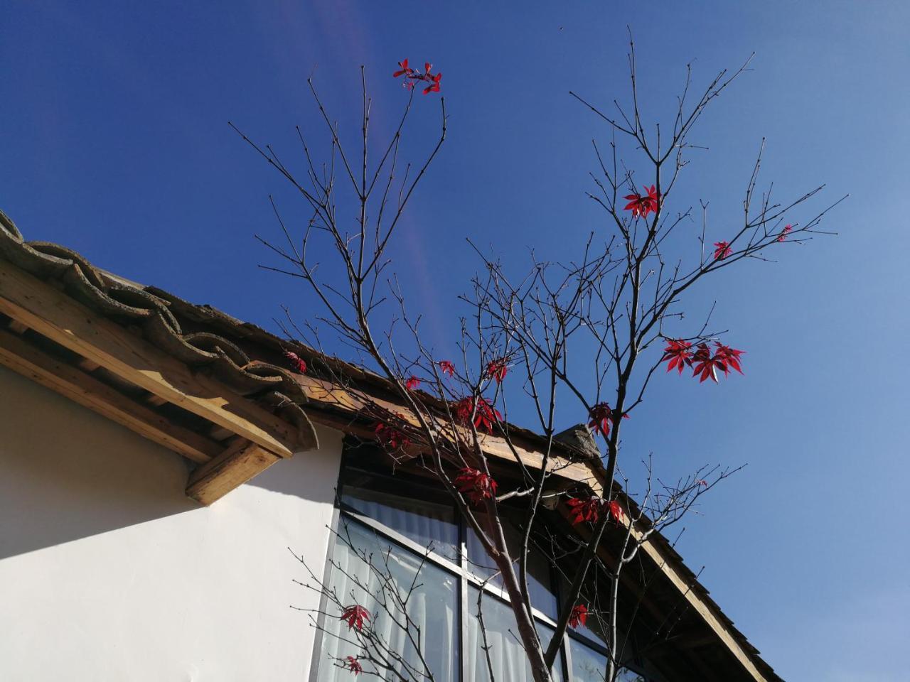 Yan Qi Si He Homestay Kunming Esterno foto
